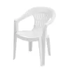 Садовый стул Plastic, Alb Magnusplus CT 001A  