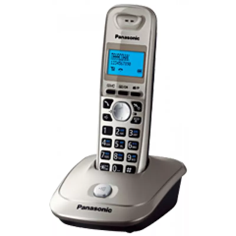 Radiotelefon PANASONIC KX-TG2511UAN, Platinum