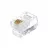 Conector GEMBIRD PLUG RJ-12,  MP-6P4C MODULAR PLUG (3U), 100 pcs