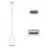 Блок питания ПК APPLE USB-C to USB Adapter