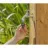 Conector cu filet pentru robinet GARDENA 3/4 Profi debit maxim