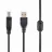 Cablu USB Cablexpert CCF-USB2-AMBM-10, AM, BM,  USB2.0, 3.0 m