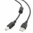 Cablu USB Cablexpert CCF-USB2-AMBM-10, AM, BM,  USB2.0, 3.0 m