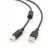Cablu USB Cablexpert CCF-USB2-AMBM-10, AM, BM,  USB2.0, 3.0 m