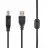 Cablu USB Cablexpert CCF-USB2-AMBM-10, AM, BM,  USB2.0, 3.0 m