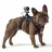 Accesorii Camere de Actiune GoPro Fetch (Dog Harness)