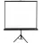 Ecran p-u proiector BENQ Tripod 100, 203x152 cm,  4:3