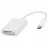 Adaptor APC ADAPTER USB TYPE C TO DVI FEMALE,  4KX2K 30HZ,   -631001