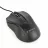 Mouse GEMBIRD MUS-3B-01 Black