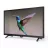 Televizor SUNNY 32 HD DLED TV
