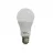 Bec LED PANLIGHT PL-A65P15CW, 15 W, 6000 K,  E27
