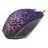 Gaming Mouse ESPERANZA LIGHTNING MX211