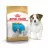 Hrana uscata Royal Canin JACK RUSSEL PUPPY 3kg