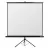 Ecran p-u proiector REFLECTA CRYSTAL-LINE, 240x240cm
