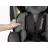 Автокресло Lionelo Bastian,  Black Base, 0, 1, 2, 3,  0-36 кг,  Установка лицом вперед, спиной,  Поворот 360 °,  Чёрный,  Серый