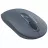Mouse A4TECH FG20 ASH BLUE