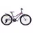 Bicicleta AIST Rosy Junior 1.0, 24",  Adolescent,  6 viteze