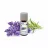 Aromatizator auto Venta Bio-fragrance Lavender