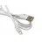 Cablu XO Micro-USB Cable XO,  Flat,  NB150,  White