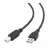 Cablu USB Cablexpert CCP-USB2-AMBM-1M, AM,  BM,  1.0 m
