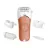 Epilator Rowenta EP4920F0, 24 pensete, 4 duze, 2 trepte de viteza, Coral, Alb