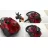 Aspirator cu container BOSCH BGC21X350, 550 W, 2 l, 78 dB, HEPA 13, Bordo, Negru