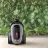 Aspirator cu container ELECTROLUX EL61A4UG, 550 W, 1.6 l, 74 dB, HEPA 12, Gri, Negru