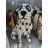 Decor Figuren Discounter Ciine dalmatian H 33cm, L 41cm, B 29cm