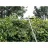 Trimer Einhell GC-MM 52 I AS 1500 W benzină