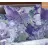 Lenjerie de pat Cottony SLPP Bloom, 2 persoane, Percale, Liliac, Violet
