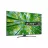 Televizor LG 55UQ81006LB, 55", 3840x2160, SMART TV, LED, Wi-Fi, Bluetooth