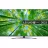 Televizor LG 50UQ81006LB, 50", 3480 x 2160, Smart TV, LED, Wi-Fi, Bluetooth