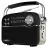 Колонка SVEN SRP-500 Black, FM/AM/SW Radio, 3W RMS, 8-band radio receiver, built-in audio files player from USB-fash, microSD and SD card storage devices, telescopic swivel antenna, built-in battery