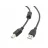 Cablu USB Cablexpert USB, AM/BM, 3.0 M, RETAIL PACK, BLACK, CCFB-USB2-AMBM-3M