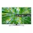 Televizor LG 65UQ81006LB, 65", 3840x2160, SMART TV, LED, Wi-Fi, Bluetooth