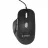 Mouse GEMBIRD MUS-6B-02, 1200-3200 DPI, 6 BUTTONS, ERGONOMIC, 1.35M, BLACK, USB