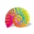 Saltea gonflabila INTEX RAINBOW SEASHELL 58791, 157 x 127 x 25 cm