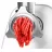 Masina de tocat carne BOSCH MFW2500W, 1500 W, 1.7 kg/min, Alb