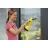 Aspirator pentru geam KARCHER 1.633-490.0 WV 2 Plus, Galben, Negru
