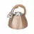 Ceainic cu fluier FISSMAN GOLDY 5968, 3 l, Inox, Auriu