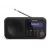 Radio portabil SHARP Sharp DR-P420BKV01
