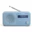 Radio portabil SHARP DR-P420BLV01