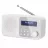 Radio portabil SHARP DR-P420WHV01