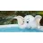 Bazin gonflabil pentru copii SunClub ДЕТСКИЕ БАССЕЙН С ФОНТАНОМ  ELEPHANT 3D SPRAY (17821), 855 l, 205 x 205 x 47 cm, 3+