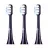 Rezerva periuta de dinti Infly BRUSH HEAD T07X 3 PACK, TARNISH, 3 buc.