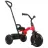 Bicicleta pentru copii QPlay ANT PLUS NEW RED, 2-6 ani, 10", 8",  Rosu