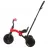 Bicicleta pentru copii QPlay ANT PLUS NEW RED, 2-6 ani, 10", 8",  Rosu