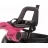 Bicicleta pentru copii QPlay ANT PLUS PINK, 2-6 ani, 10", 8", Roz