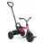 Bicicleta pentru copii QPlay ANT PLUS PINK, 2-6 ani, 10", 8", Roz
