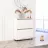 Tumba pentru incaltaminte MOBILDOR LUX LEO Slim 50 2 uși 86x50x16 Alb